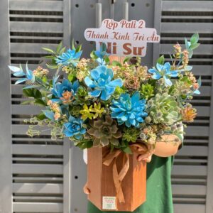 lẵng sen đá đẹp, giỏ hoa sen đá đẹp