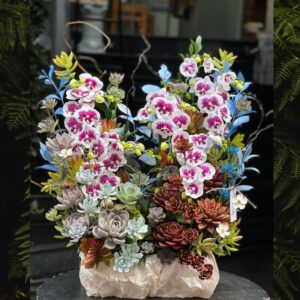 Giỏ hoa sen đá mix hoa lan hồ điệp