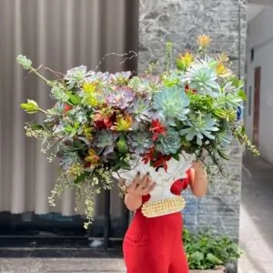 Hoa Đẹp Chúc Mừng Sinh Nhật Sen Đá Cao Cấp
