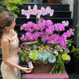 lẵng hoa tiểu hồ điệp màu hồng mix với hoa sen đá