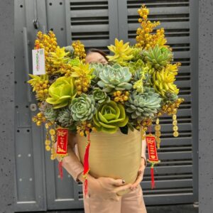 hoa sen đá khai trương màu vàng