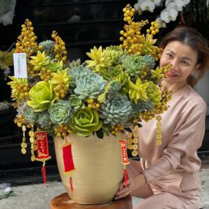 hoa sen đá khai trương màu vàng