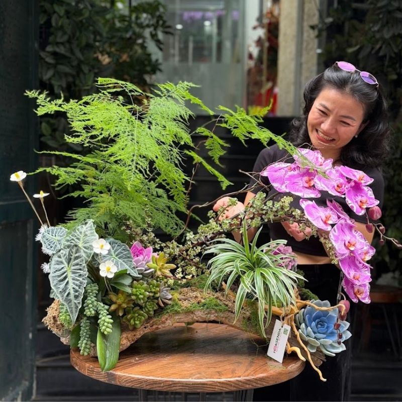 hoa-khai-truong-tieu-canh-lan-ho-diep-mix-sen-da hoa khai trương từ tiểu cảnh lan hồ điệp mix gỗ lũa trồng sen đá