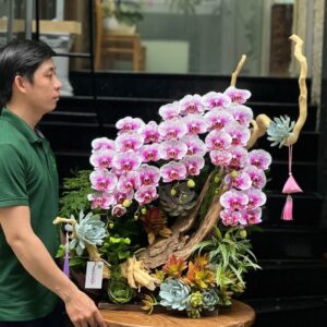 hoa khai trương đẻ bàn từ tiểu cảnh lan hồ điệp có ưu điểm gì