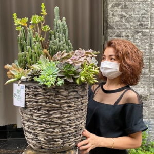 hoa khai trương sen đá và xương rồng