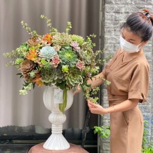 Hoa Chúc Mừng Khai Trương Sen Đá