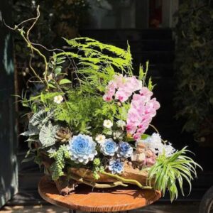 lẵng hoa khai trương từ tiểu cảnh lan hồ điệp mix sen đá