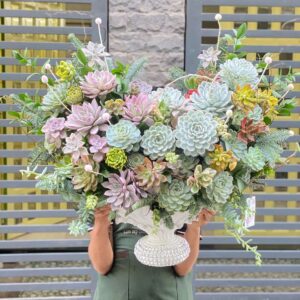 Bình sen đá sang trọng, độc lạ