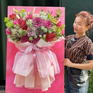 kệ hoa sen đá đỏ, hoa sen đá đẹp