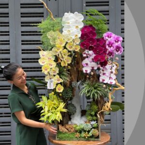 hoa tất niên tươi đẹp bền lâu từ tiểu cảnh lan hồ điệp mix sen đá gỗ lũa