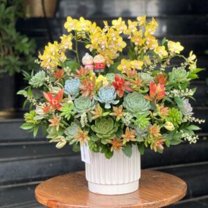 hoa trưng 8 tháng 3 tươi đẹp từ 15-30 ngày
