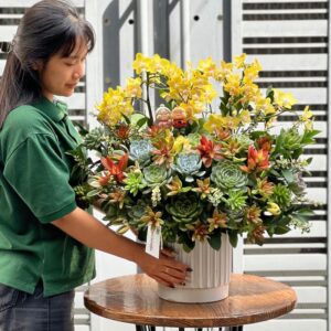 hoa trưng 8 tháng 3 tươi đẹp từ 15-30 ngày