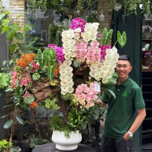 gỗ lũa lan hồ điệp dáng bonsai cổ thụ