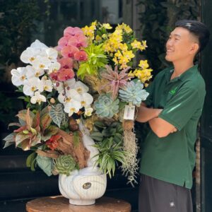 chậu lan hồ điệp mix sen đá hoa mừng thọ ông bà ý nghĩa