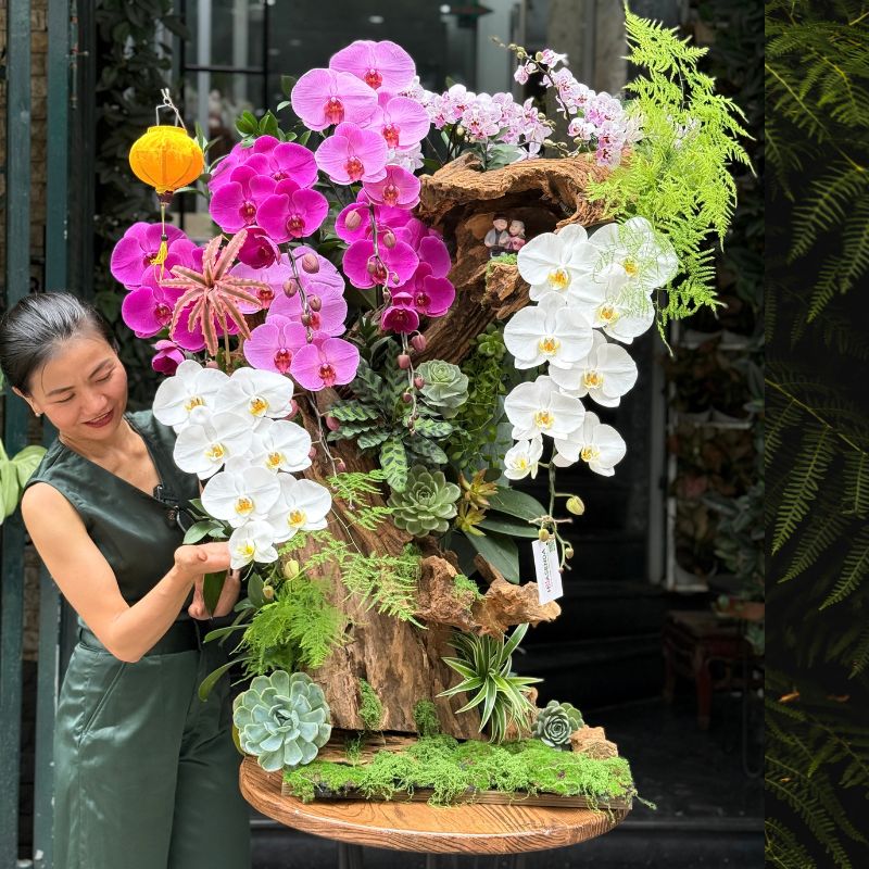 lua-go-lan-ho-diep-dang-bon-sai-mix-sen-da lũa gỗ lan hồ điệp mix sen đá dáng bonsai quà tặng cao cấp đối tác
