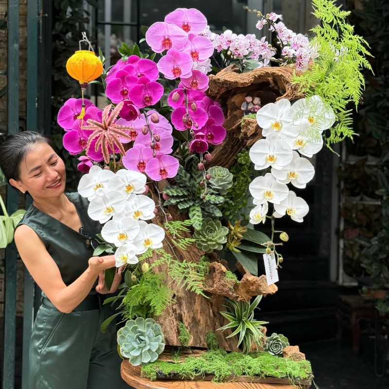 lua-go-lan-ho-diep-mix-sen-da lũa gỗ lan hồ điệp mix sen đá dáng bonsai quà tặng cao cấp đối tác