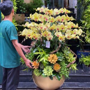 hoa tặng nam giới bình hoa lan hồ điệp màu vàng 35 cây