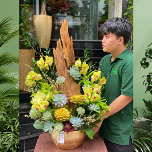 Lan Hồ Điệp Chậu Mix Sen Đá Trồng Cùng Gỗ Lũa- Hoa Tặng Tân Gia Đẹp Và Sang
