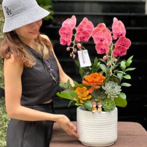 Chậu Lan Hồ Điệp Đỏ