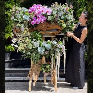 kệ hoa sen đá lan hồ điệp, hoa khai trương hồng phất