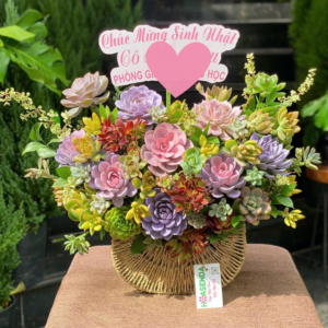 Giỏ Hoa Sinh Nhật Cho Nữ Với Lẵng Hoa Sen Đá Để Bàn Tông Pastel Cực Xinh