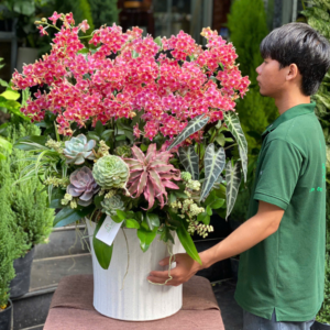 Bình Hồ Điệp Nhí Đỏ Dáng Cao Mix Sen Đá - Hoa Chúc Mừng Nổi Bật Tươi Lâu