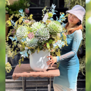 Hoa Sinh Nhật Sen Đá Khủng Tặng Sếp Nam Ý Nghĩa