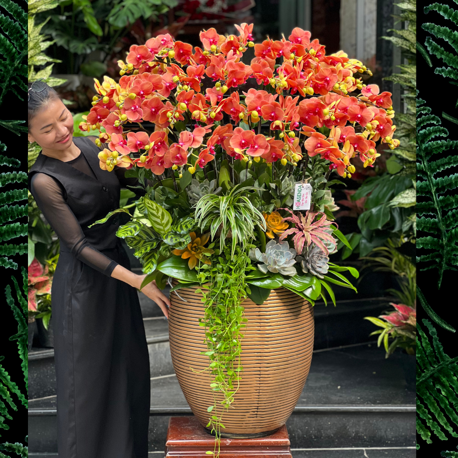 Hoa Tươi Sinh Nhật