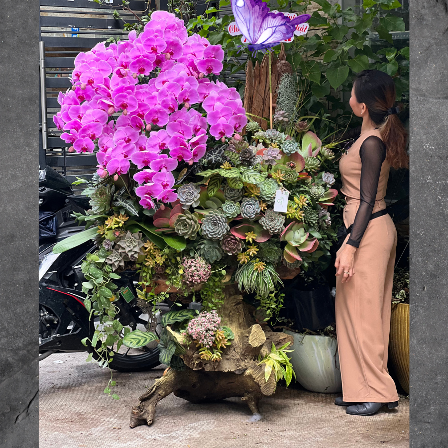 Tặng hoa sinh nhật 2