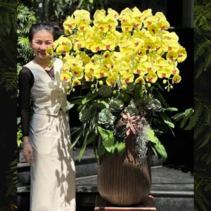 lan hồ điệp vàng lưỡi đỏ chậu lớn