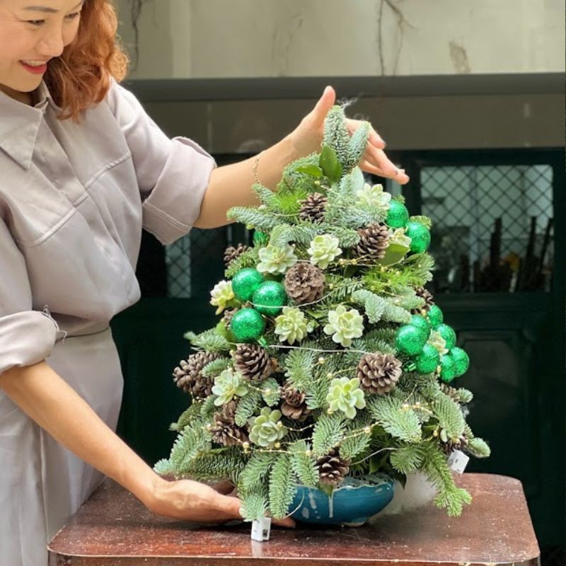 cây thông tươi nhập khảu ghép cành cây thông tươi để bàn thông nhập khẩu ghép cành cành thông tươi Đan Mạch