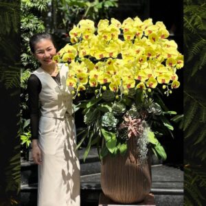 lan hồ điệp vàng lưỡi đỏ chậu lớn