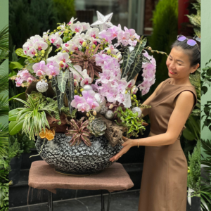 Chậu Lan Hồ Điệp Mini Thơm Ngọt Ngào Mix Sen Đá và Cây Xanh: Khu Vườn Thu Nhỏ Trong Ngôi Nhà Bạn