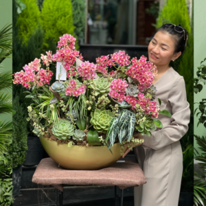 Chậu Lan Mini Đỏ Thơm Mix Sen Đá Để Bàn Tặng Khai Trương - Quà Tặng Ý Nghĩa May Mắn Và Thịnh Vượng