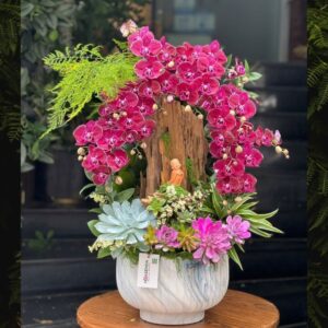 hoa tặng đối tác lan hồ điệp tiểu cảnh