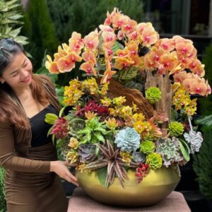 chau lan tiểu hồ điệp cam mix sen đá đẹp