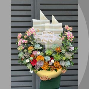 Thuyền hoa sen đá mix lan hồ điệp mini