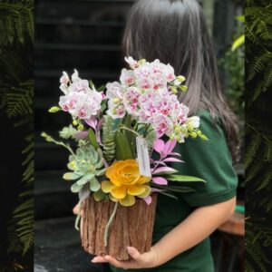 giỏ hoa lan mix sen đá, giỏ hoao tặng 8/3