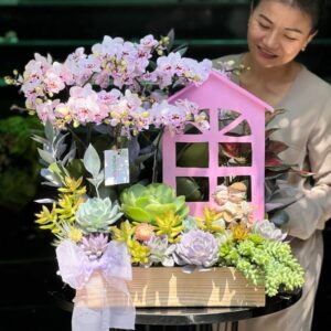 lẵng hoa chúc mừng 8/3 từ hộp gỗ lan hồ điệp mini hồng mix sen đá hồng, trang trí ngôi nhà ông bà hạnh phúc