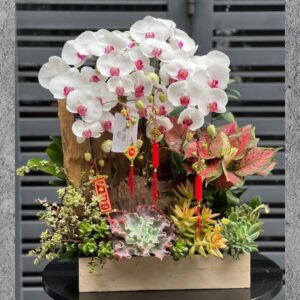 hoa tặng ngày 8 3