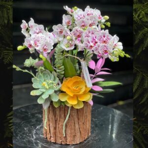 giỏ hoa lan mix sen đá, giỏ hoao tặng 8/3