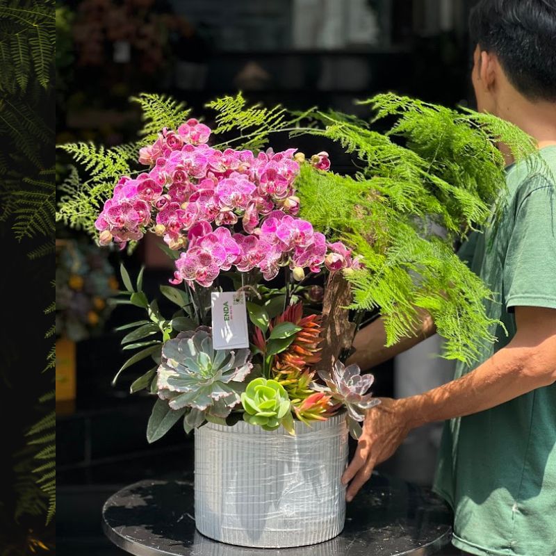 Hoa Chúc Sinh Nhật Đẹp từ lan hồ điệp mix cây xanh dương xỉ sang trọng Hoa Chúc Sinh Nhật Đẹp từ lan hồ điệp mix cây xanh dương xỉ sang trọng