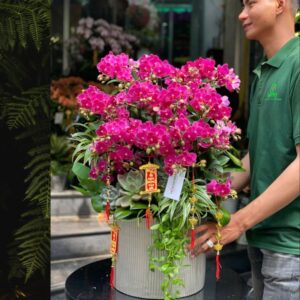 hoa tặng bạn gái bình hoa lan hồ điệp mini hồng đậm mix sen đá