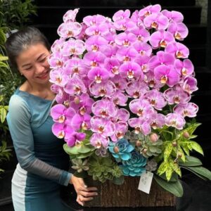 Lẵng Hoa 8 3, hộp gỗ lan hồ điệp hồng mix sen đá