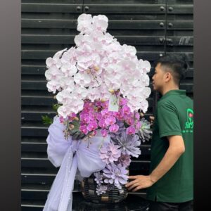 hoa tặng 8/3 ý nghĩa từ lan hồ điệp tím môn mix lan hồ điệp hồng đậm