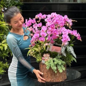 Hoa 8 3 Tặng Mẹ, lẵng hoa lan hồ điệp hồng trồng cùng sen đá mix tượng ông bà hạnh phúc