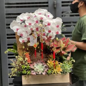 hoa tặng ngày 8 3
