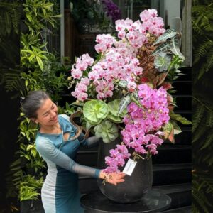 chậu lan hồ điệp đẹp 2 tầng màu hồng nhạt và hồng đậm