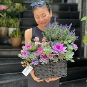giỏ hoa sen đá mix hoa lavender tím hoa tặng bạn gái