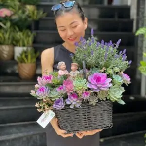 giỏ hoa sen đá mix hoa lavender tím hoa tặng bạn gái
